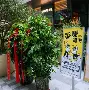 郑钦文联赛已进19球再成焦点(郑钦文联赛已进19球再成焦点了吗)