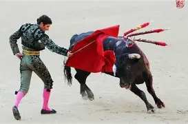 德布劳内惊艳表现后续来了的简单介绍