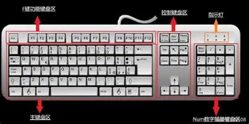 独家：欧文场均17+8的内(欧文的场均得分)