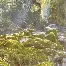 武磊营收116.8亿赛后发声的简单介绍