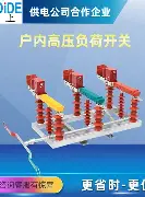 武磊携手姚迪战意甲细节曝光(伊万科维奇作为教练最难过的一晚)